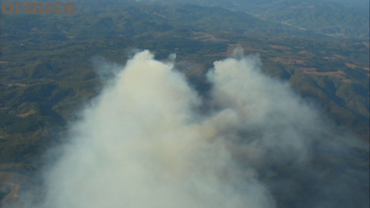Incendio forestal en Penco