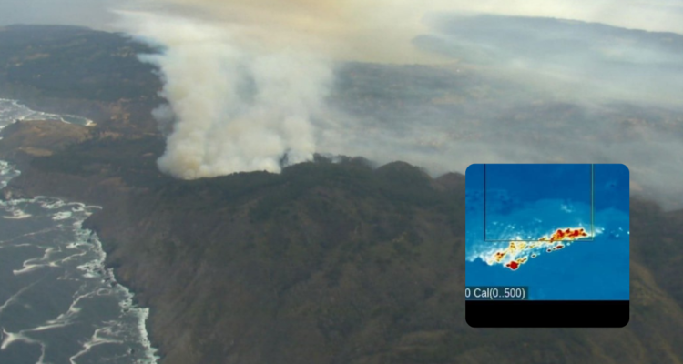 Incendio forestal en Valparaíso.