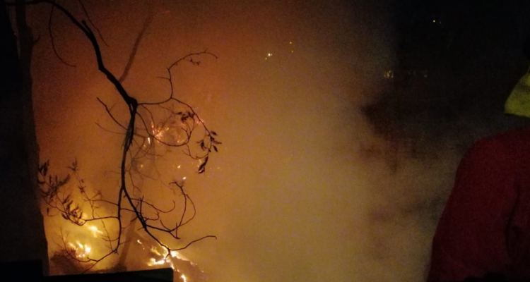 Incendio forestal en Villa Alemana.