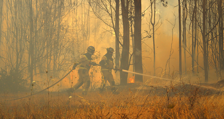 Incendio forestal en Penco la mantiene junto a Tomé en Alerta Roja