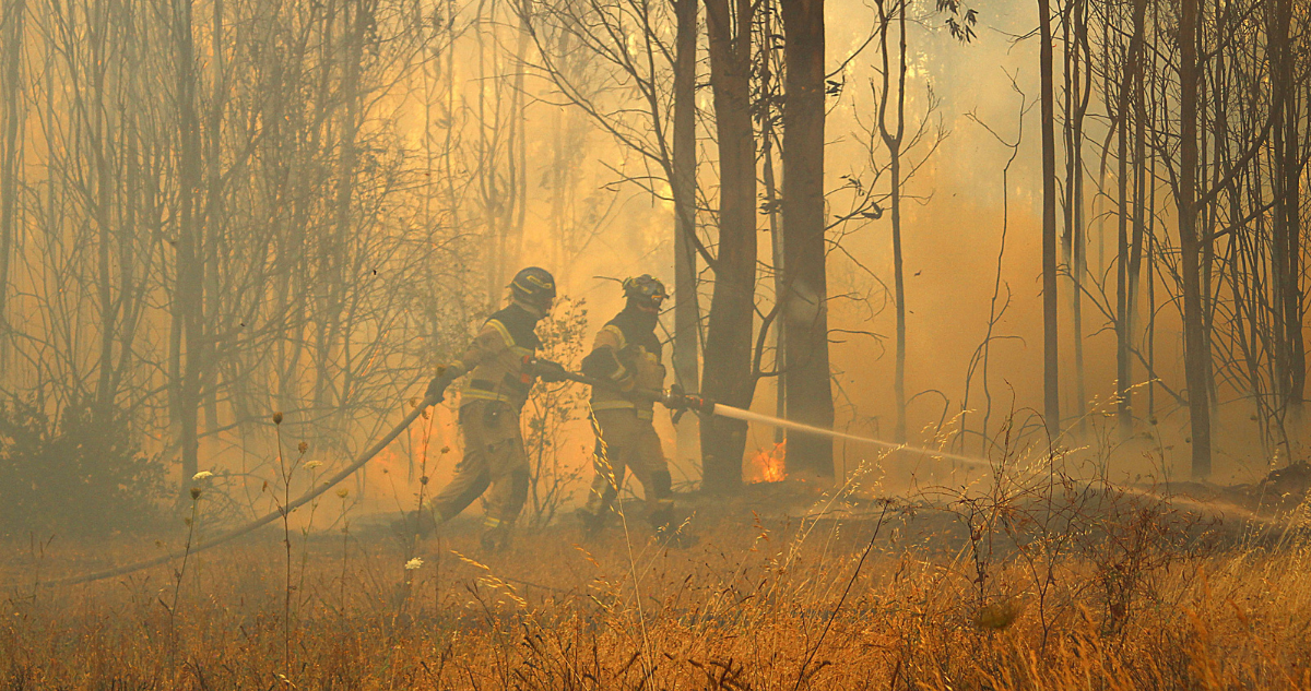 Incendio forestal en Penco la mantiene junto a Tomé en Alerta Roja