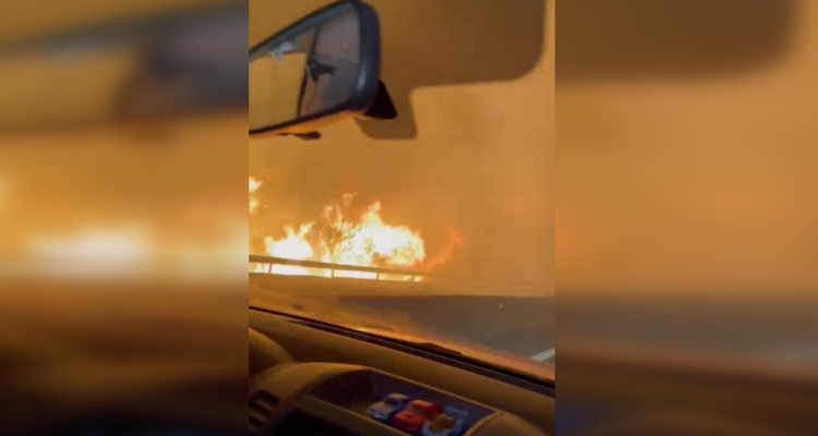 video incendio forestal Ruta 68