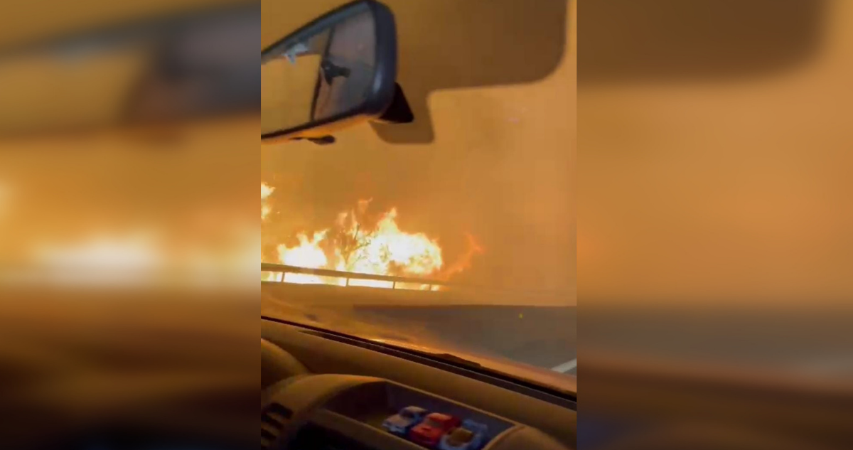 video incendio forestal Ruta 68