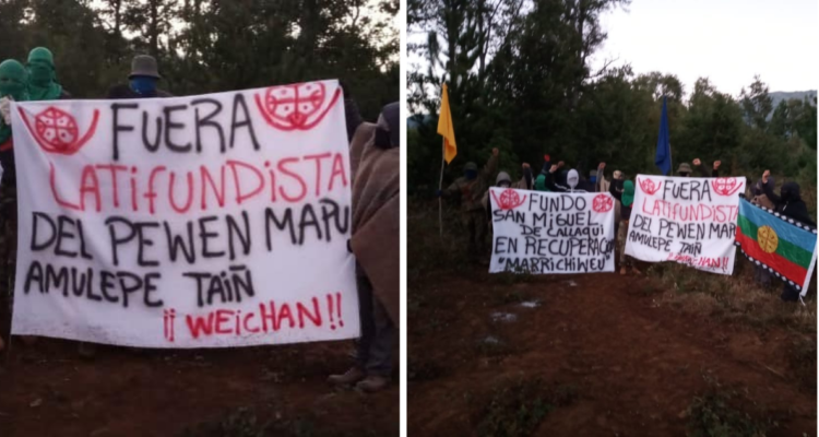 Tras no haber avances por parte de Conadi: jovenes deciden ingresar al fundo San Miguel de Callaqui