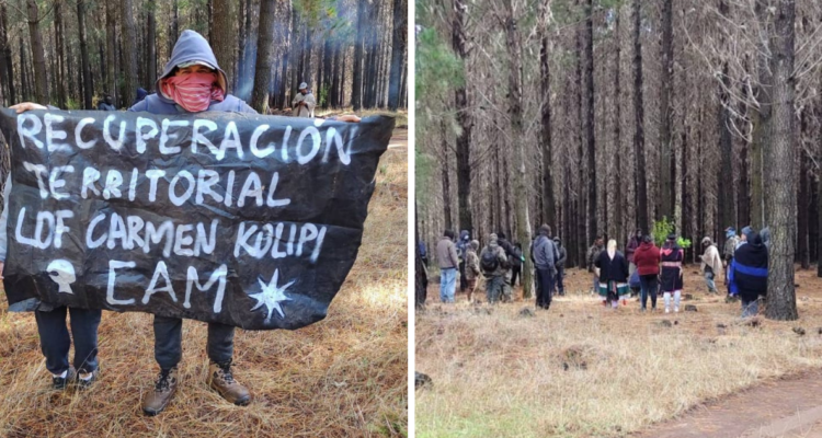 Apoyados por la CAM Lof Carmen Colipí: ingresa a fundo Antofagasta y exige restitución del terreno