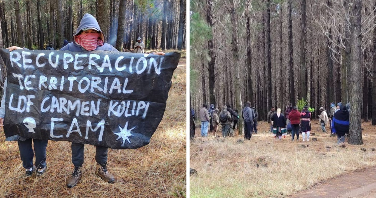 Apoyados por la CAM Lof Carmen Colipí: ingresa a fundo Antofagasta y exige restitución del terreno