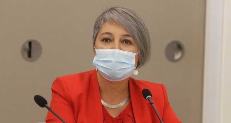 Por dichos de ministra del Trabajo: 2 diputados aseguran que Gobierno expropiará fondos de pensiones