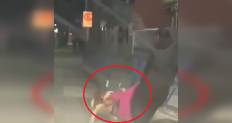 Mujer atacada por perros en Talcahuano.