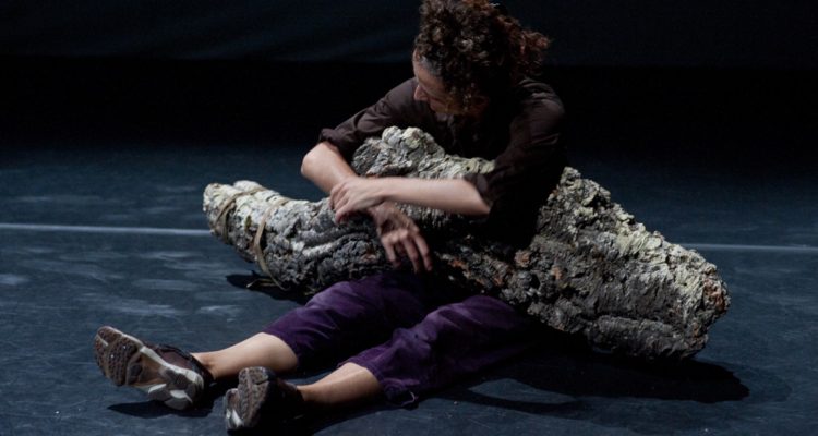 Serrenhos do Caldeirão