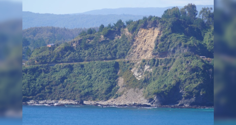 Pedro Abarzúa | RBB