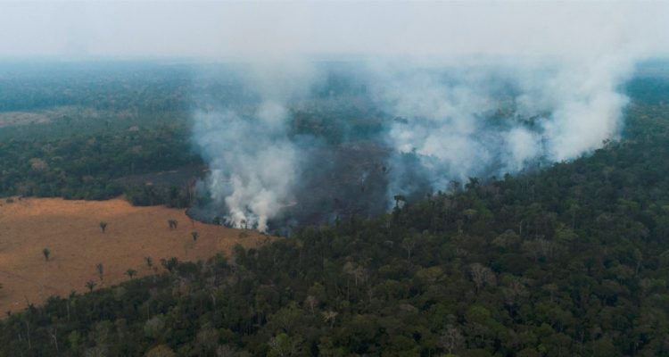 Deforestación en Amazonía vía incendio