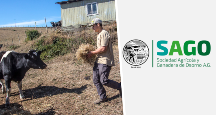 Osorno: Sociedad Agrícola Ganadera espera que Gobierno disminuya brechas entre mundo urbano y rural
