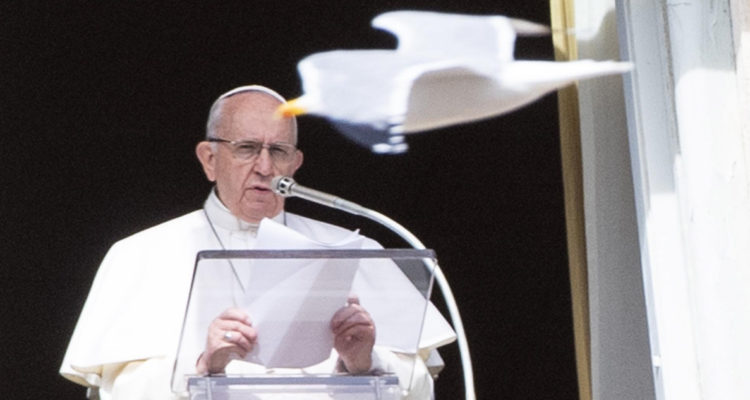 El papa sobre la guerra en Ucrania: “¡En nombre de Dios, deténganse!”