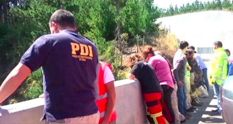 Trabajo PDI Constitución