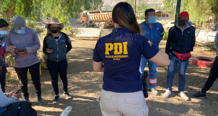 PDI sorprende a extranjeros irregulares buscando trabajo en faenas agrícolas de Vicuña