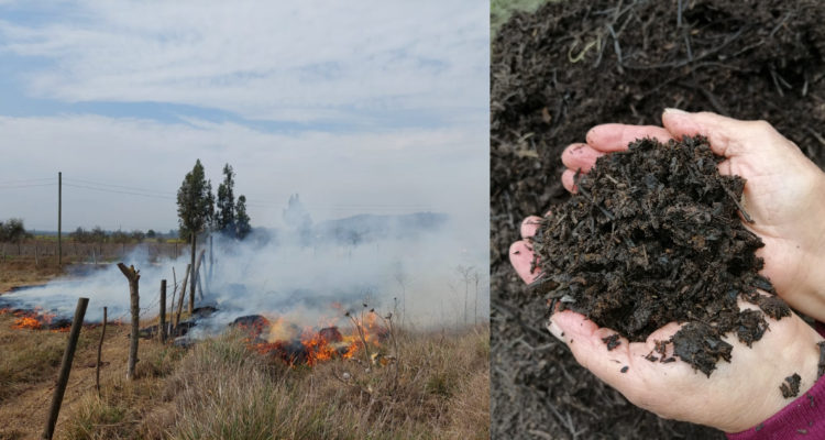 manejo sustentable de residuos