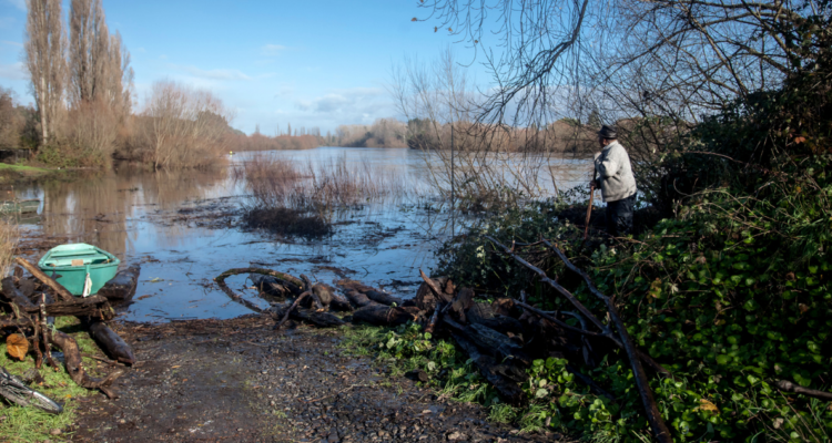Encuentran a hombre con heridas en el rostro cerca de río de Osorno: primero lo reportaron muerto