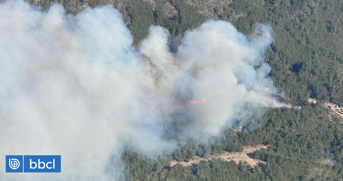 Declaran Alerta Roja Por Incendio Forestal En Valparaíso Hay Amenaza A Viviendas Nacional 3631