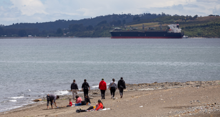 Presencia de toxinas de tipo diarreica fueron identificadas en moluscos en Puerto Montt
