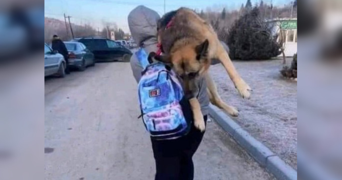 Ucraniana y perrita