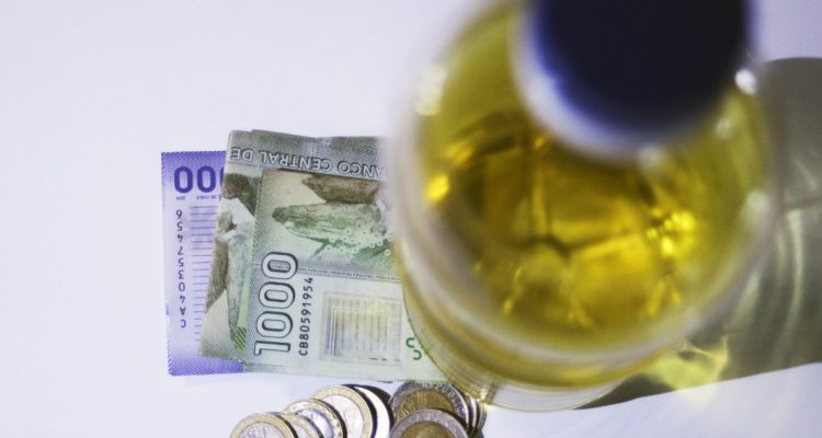 Gobierno anuncia programa Siembra por Chile