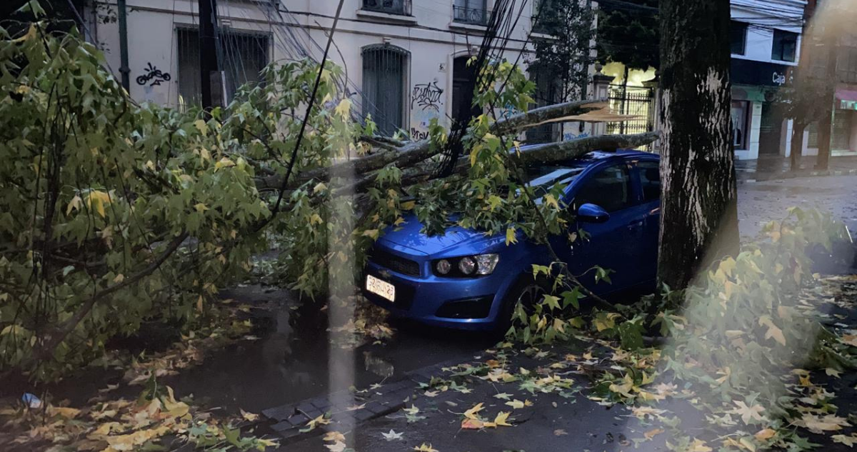 Árbol cae sobre vehículo en Aníbal Pinto.