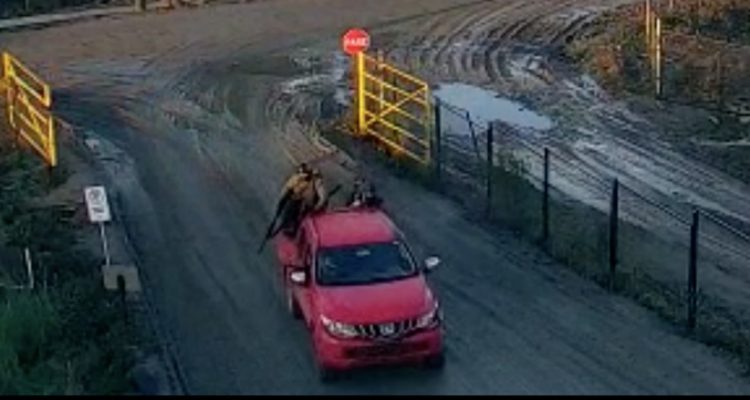 Ataque en Los Álamos