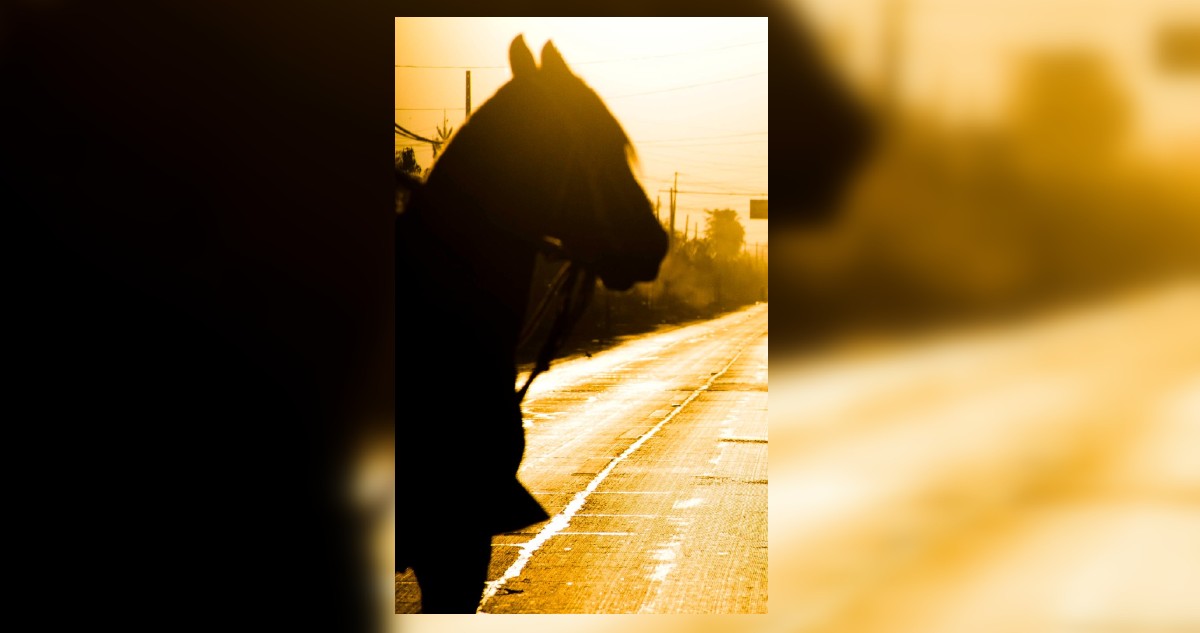 Hombre armado y montado a caballo asaltó a una mujer: su huída por quebradas dificultó búsqueda
