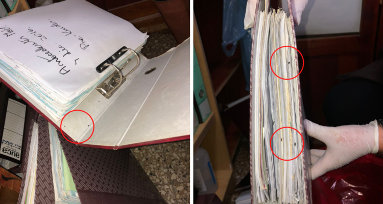 Encuentran fecas y ratones al interior de colegio en Valdivia: apoderados están preocupados