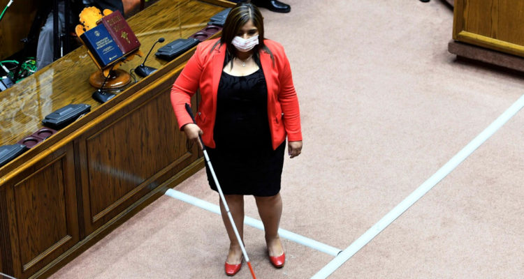 Senadora Campillai propone incluir los Derechos Humanos en las asignaturas de los colegios