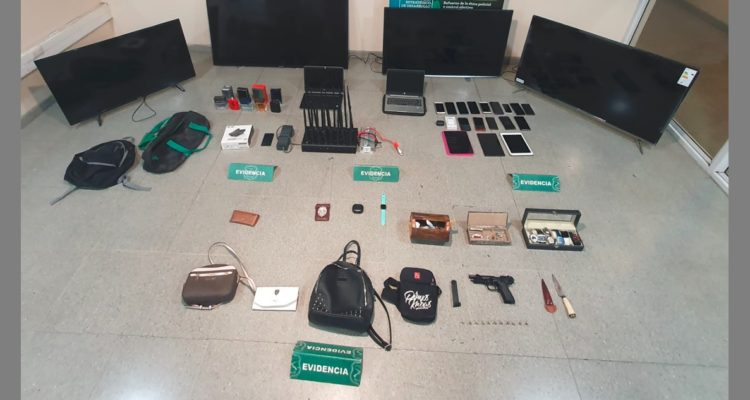 Especies recuperadas en Cerro Navia