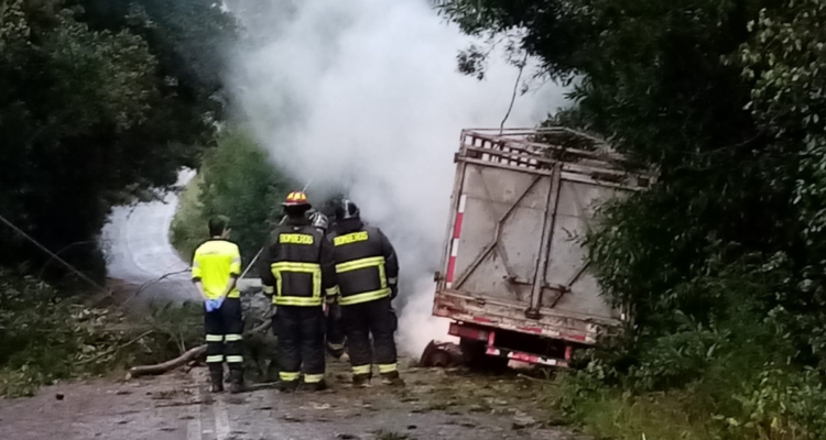Conductor muere calcinado en Victoria: árbol cayó y derribó tendido eléctrico sobre su camión