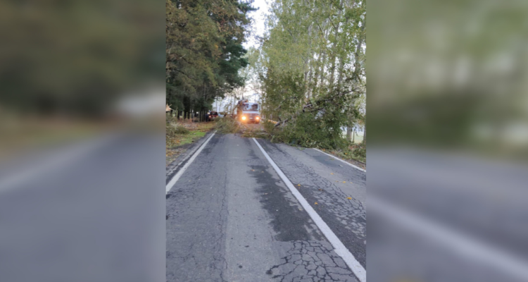 cortes ruta Alto Bío Bío