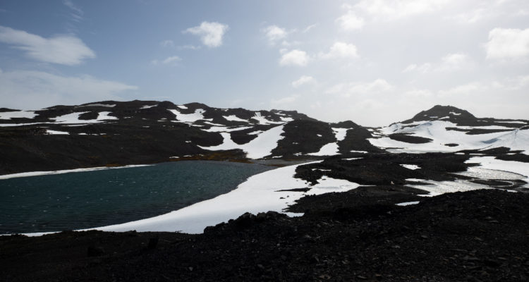 Xona rocosa de bahía Fildes, Isla Rey Jorge. En la imagen se ve un bajo nivel de nieve debido a la alza de temperatura en la Antártica.