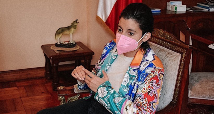 Apruebo Dignidad Daniela Dresdner