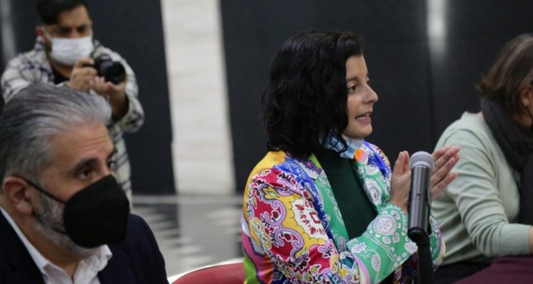 Críticas a Dresdner: parlamentarios piden a delegada del Bío Bío mayor prolijidad y “dar la cara”