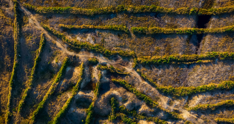 derechos real de conservación