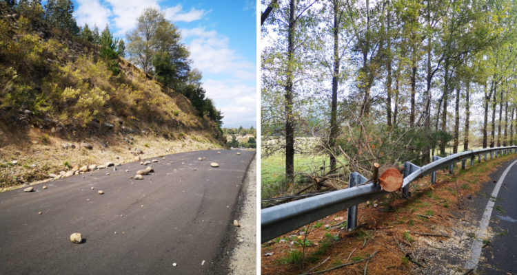 herido comunero desalojo fundo Alto Bío Bío