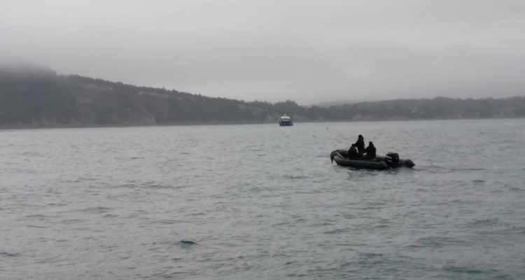 Tripulante desapareció en embarcación en Puerto Montt.