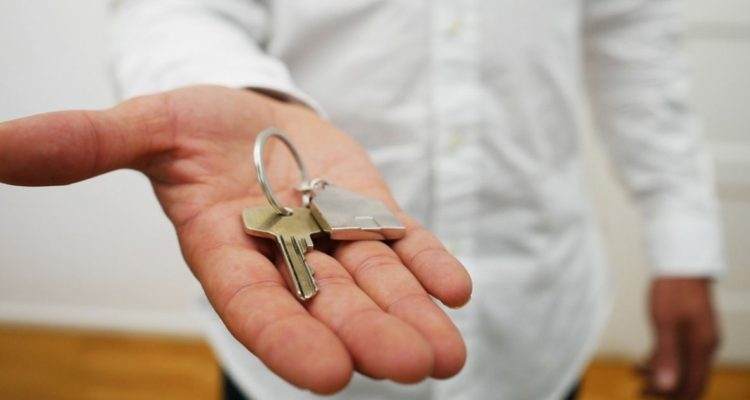 devuélveme casa rebeldes