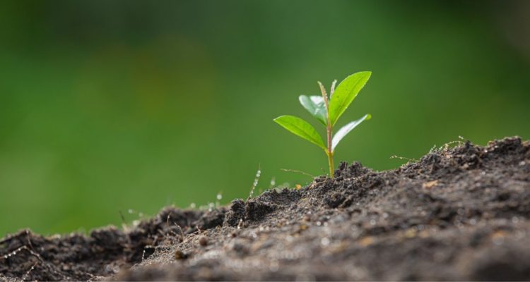 Día de la Tierra y el cambio climático