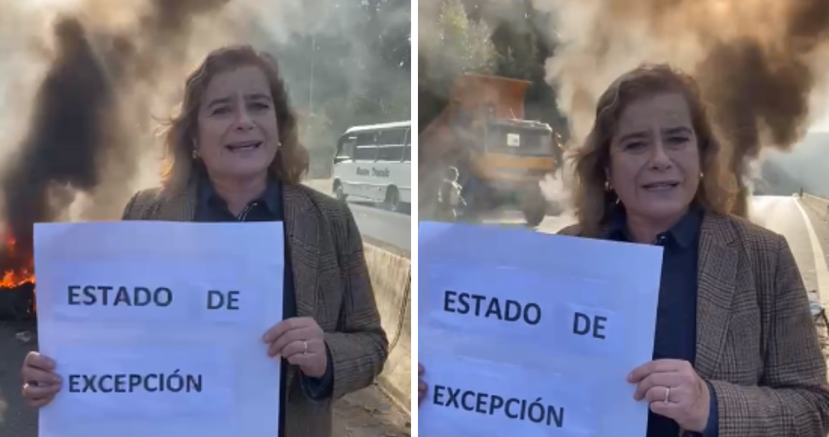 “Estado de Excepción, ahora ya”: diputada Weisse se graba con barricadas de fondo y emplaza a Siches
