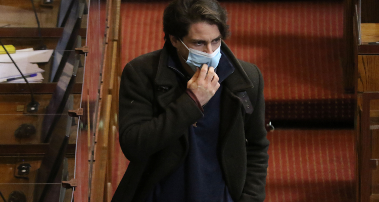 Gremios madereros rechazan declaración del diputado Winter: “demuestra una completa ignorancia”