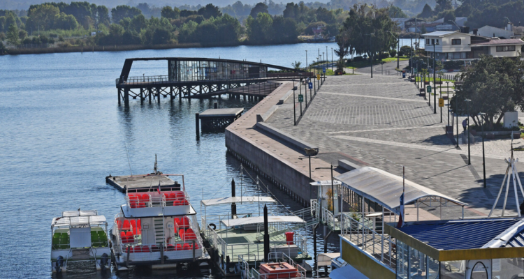 CChC dice que es mala idea dejar fuera el proyecto de doble vía en Valdivia.