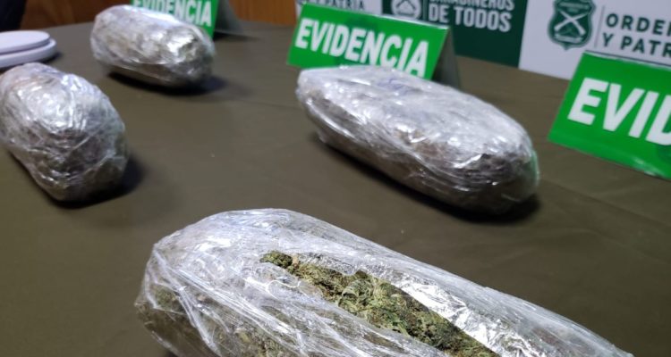 Detienen en Los Ríos a mujer que viajaba en un bus interurbano transportando droga