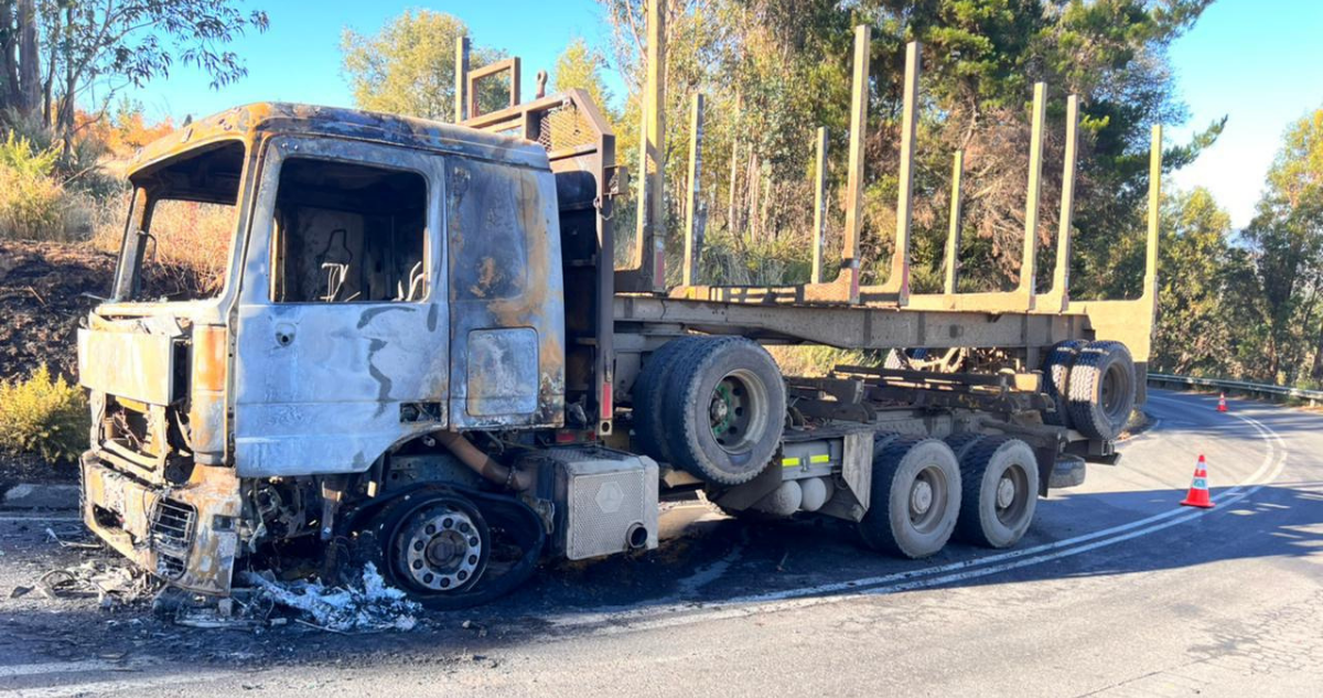 Encapuchados intimidaron a conductor de camión, lo obligaron a bajar y quemaron vehículo en Lumaco