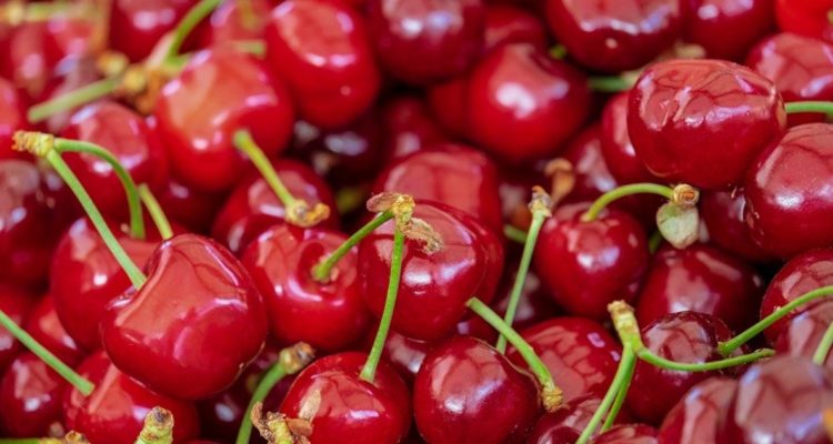 Exportaciones de fruta a China