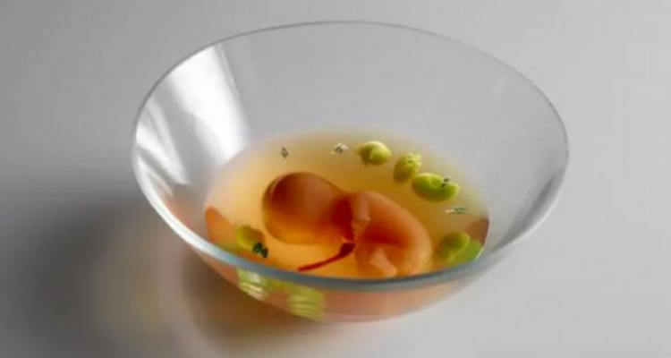 Creación con forma de feto