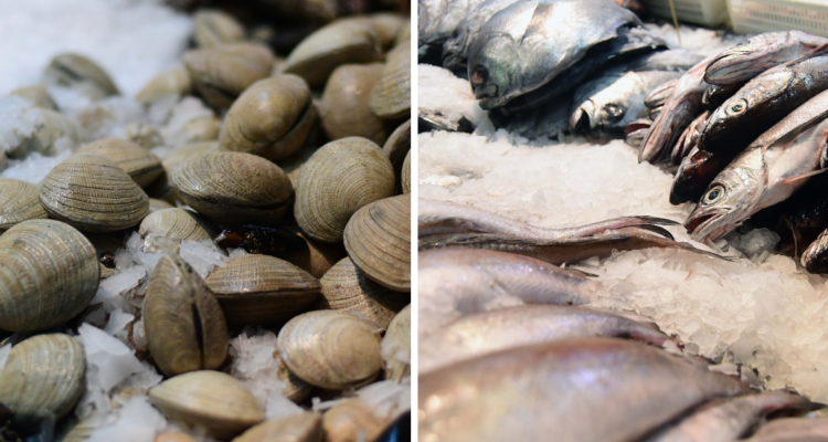 Tras muerte de menor por ingesta de alimentos contaminados decretan mayor fiscalización en la zona