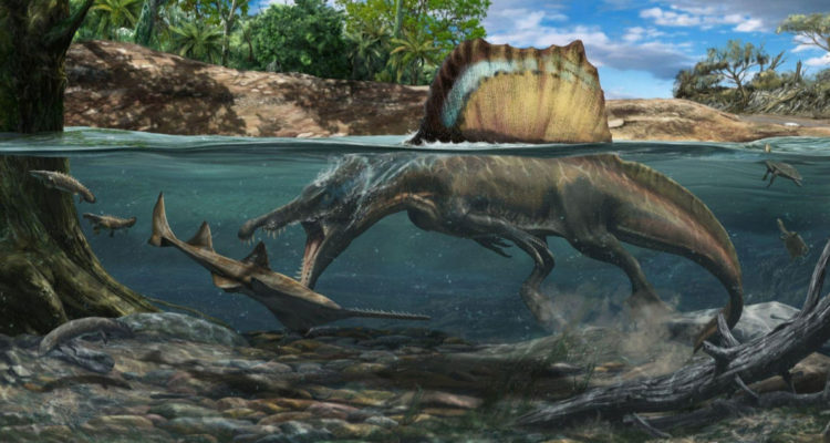 Spinosaurus-cazando